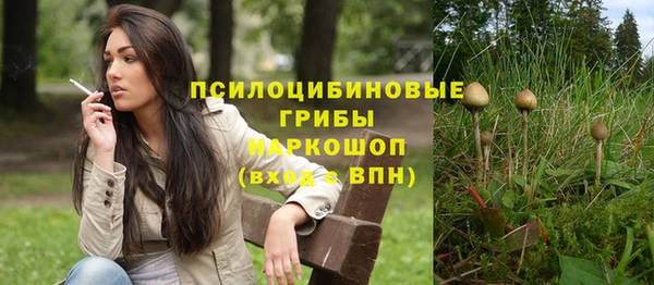 сатива Алзамай