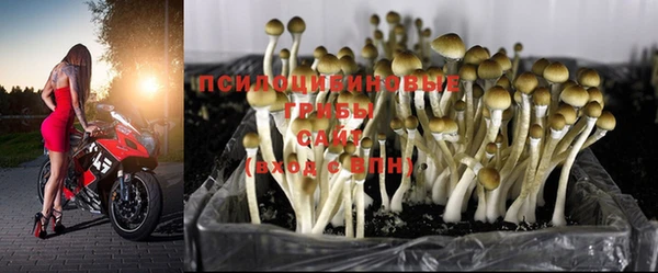 соль курить ск Алексеевка