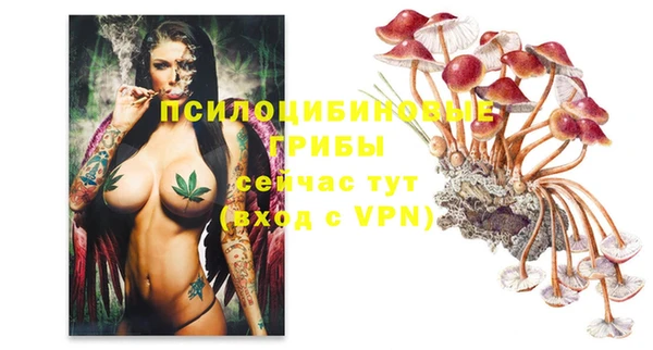 шишки Алексин
